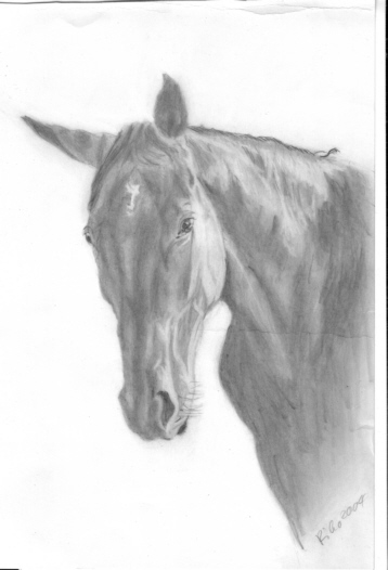 Auftragszeichnung: Pferd 2004