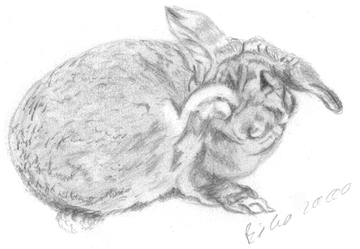 Oemmelchen 2000